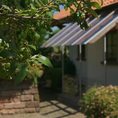 Am Wingert * Sankt Martin