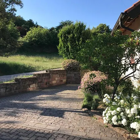 Am Wingert Apartment Sankt Martin