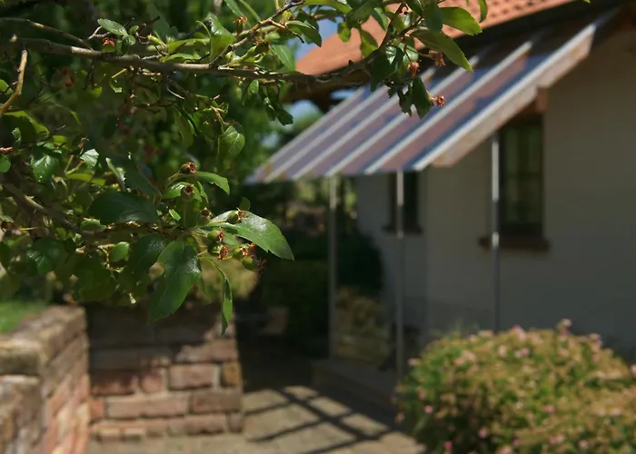 Am Wingert * Sankt Martin